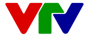 Vietnam TV